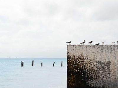 Motosiklet Deri Yarış Ceketi